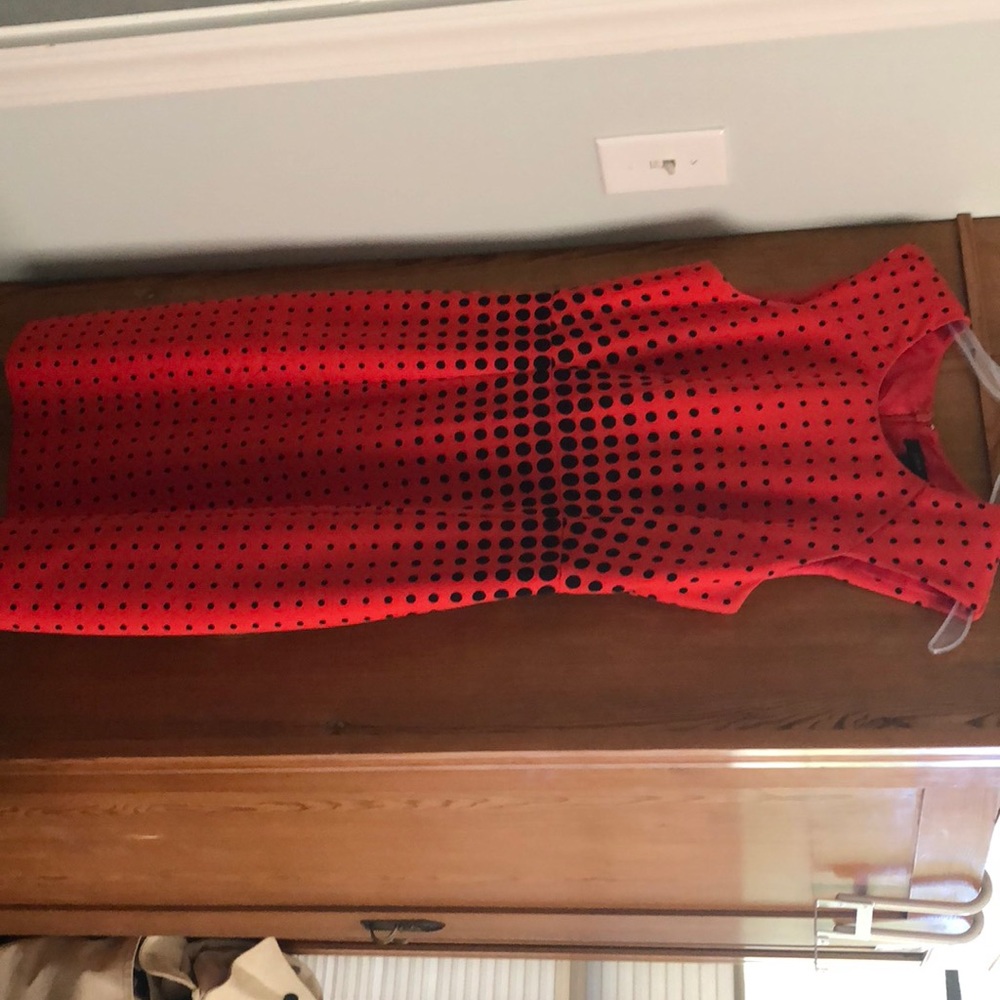JCrew Shift Dress